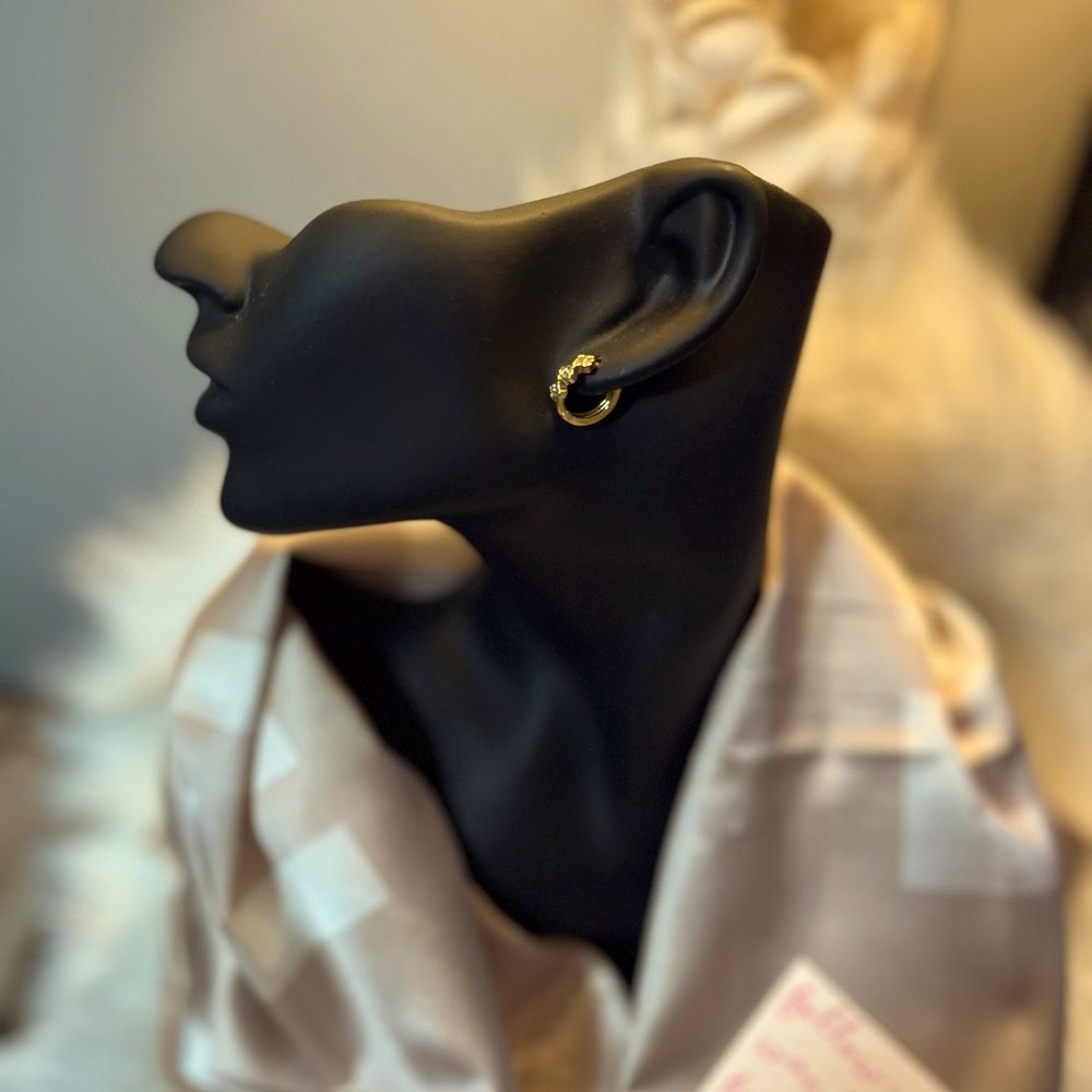 Elegant Gold Hoop Earrings